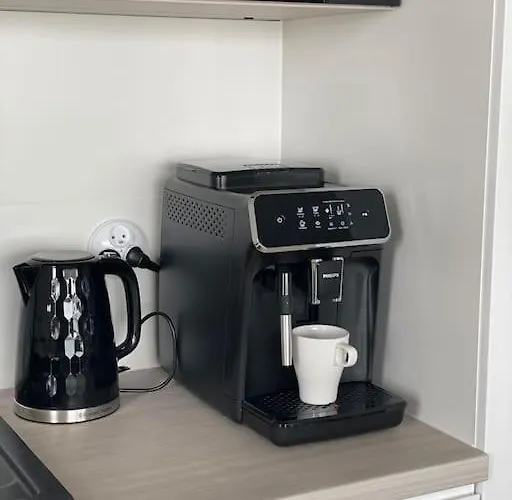 Calkowicie Nowy Przy Plazy * レバル